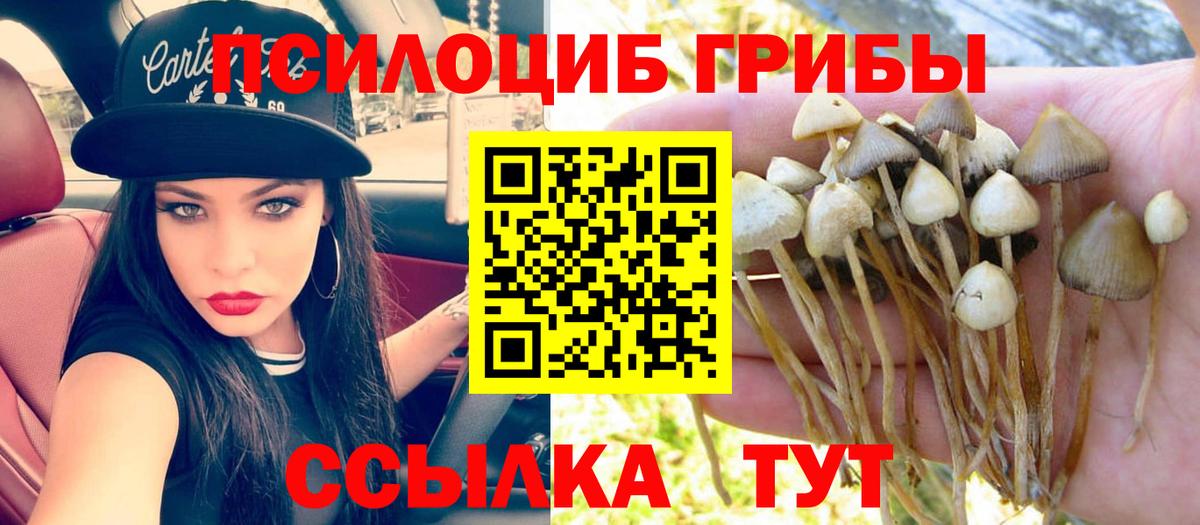 Псилоцибиновые грибы прущие грибы  Вход с VPN  где найти наркотики  Сатка 